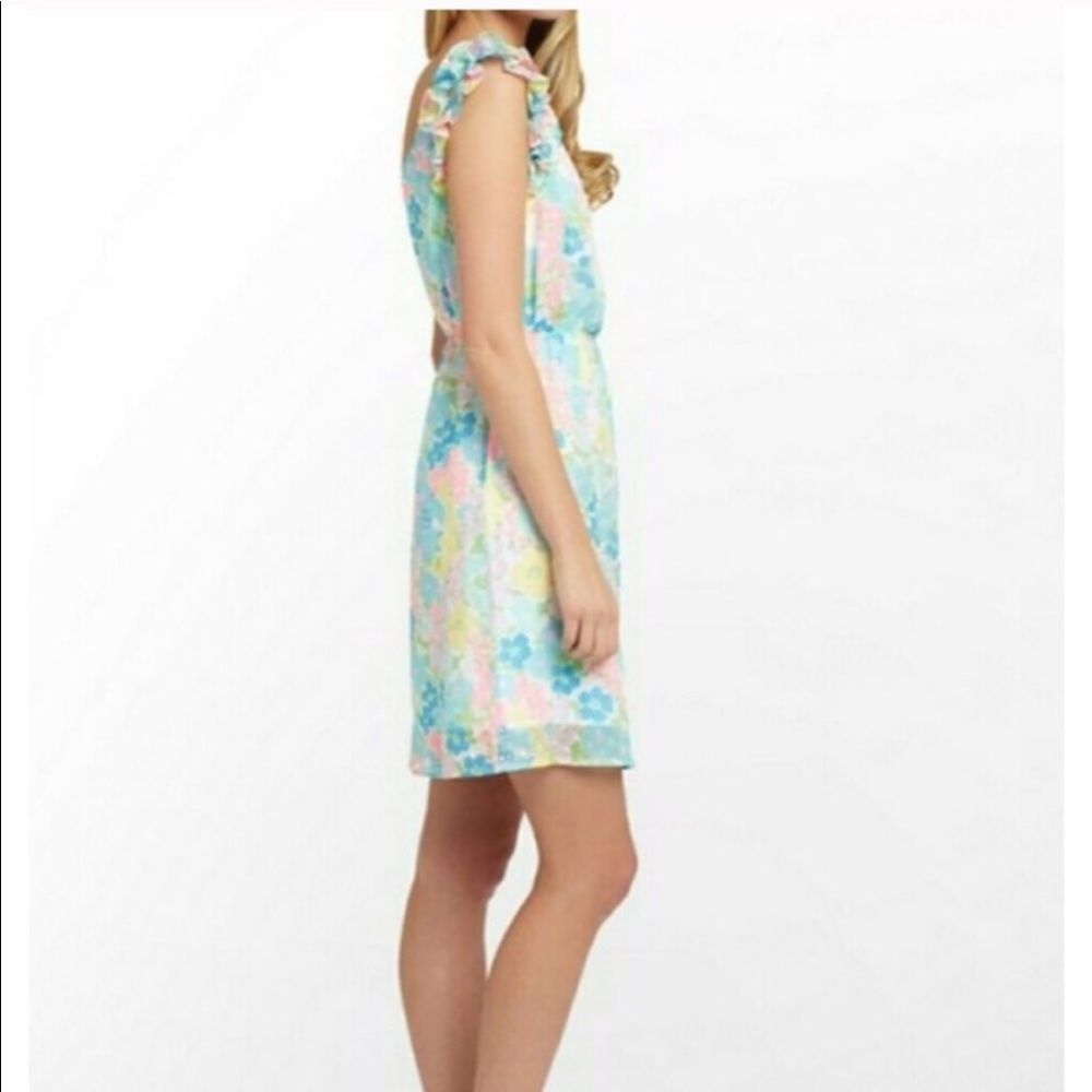 Lilly Pulitzer Danna Spring Fling Floral Dress S - Picture 11 of 12